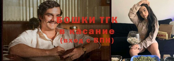гидра Абаза