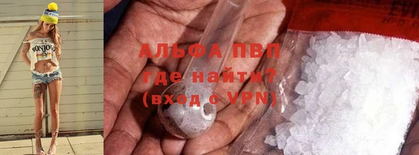гидра Абаза