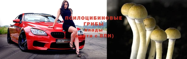 стаф Абдулино