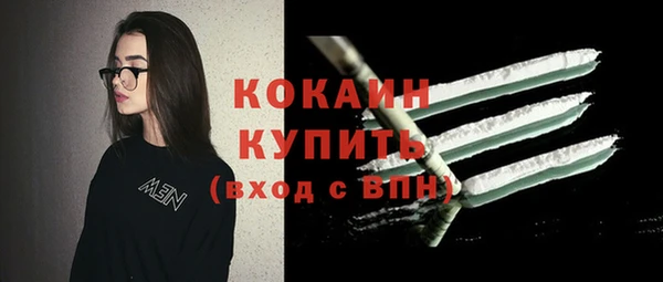 гидра Абаза