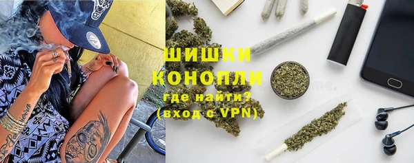гидра Абаза