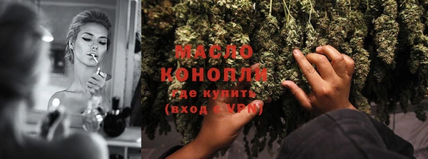 гидра Абаза